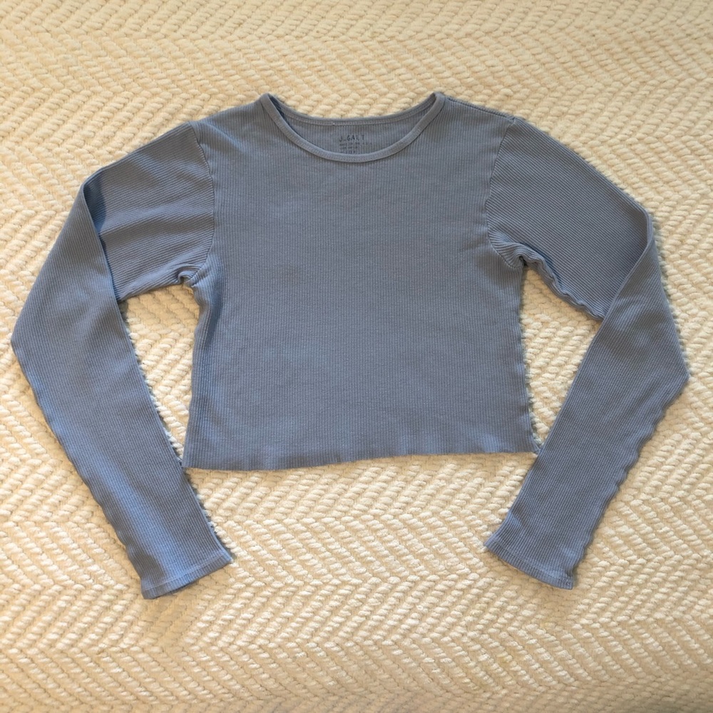 Brandy Melville Baby Blue Crop Long Sleeve Shirt